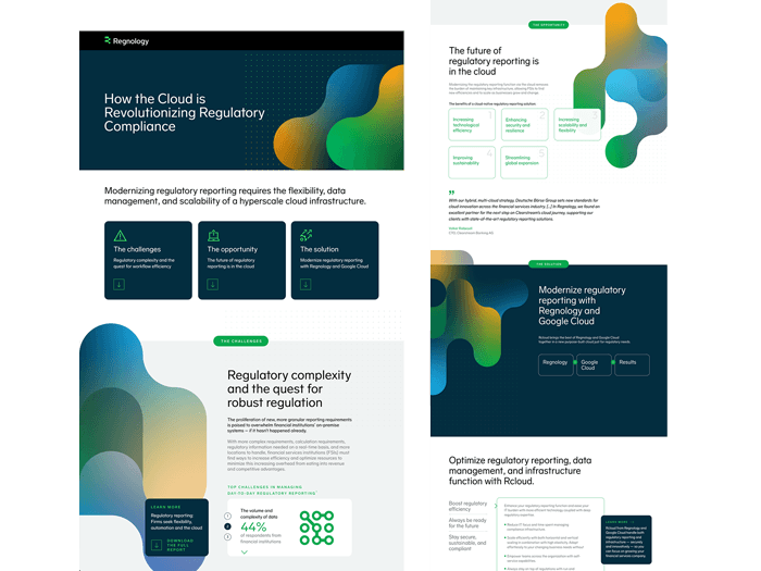 Regnology — regulatory compliance infographic and interactive content design